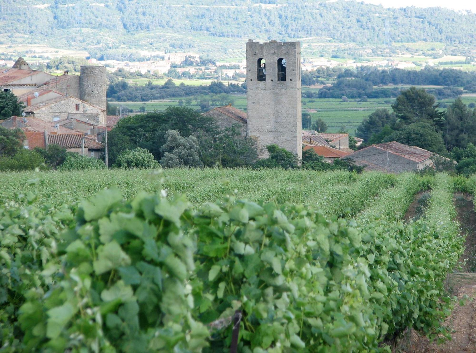 Maison Vigneronne De Bonne Maman - Climatisee Cesseras 外观 照片